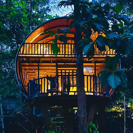 Hotel Woodland Sanctuary Habarana Zewnętrze zdjęcie