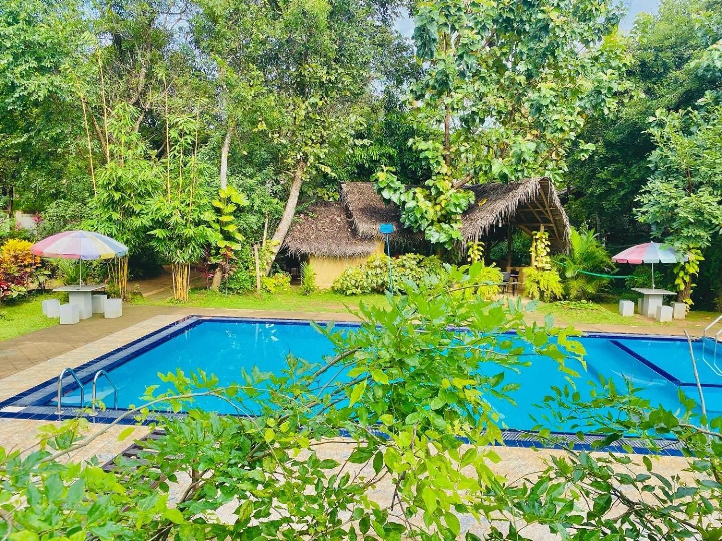 Hotel Woodland Sanctuary Habarana Zewnętrze zdjęcie